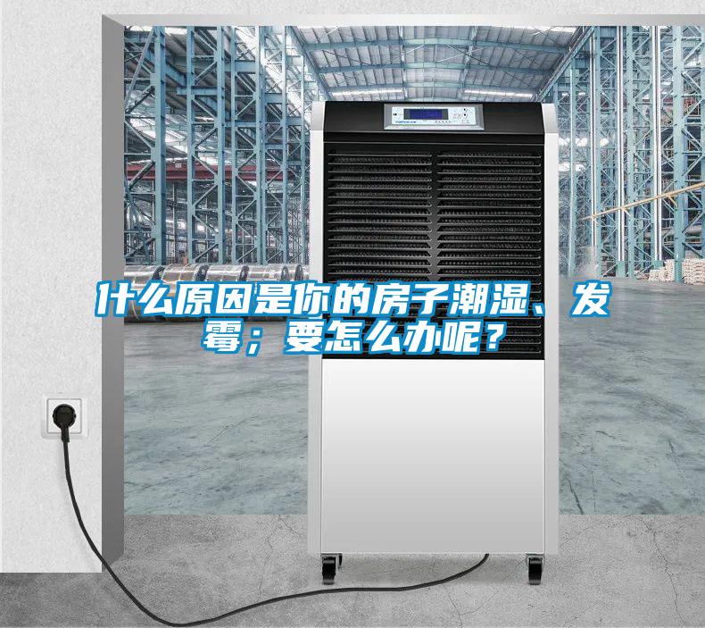 什么原因是你的房子潮濕、發霉；要怎么辦呢？