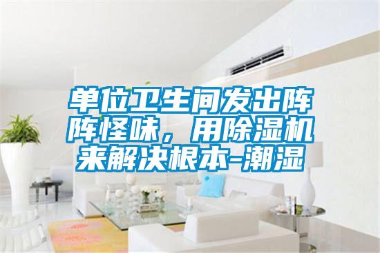單位衛生間發出陣陣怪味，用除濕機來解決根本-潮濕
