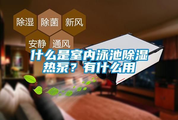 什么是室內泳池除濕熱泵？有什么用