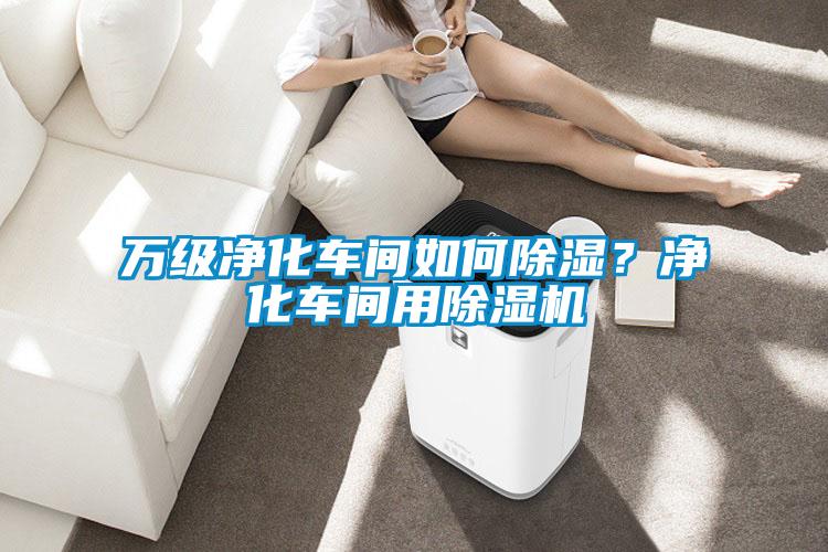 萬級凈化車間如何除濕？凈化車間用除濕機