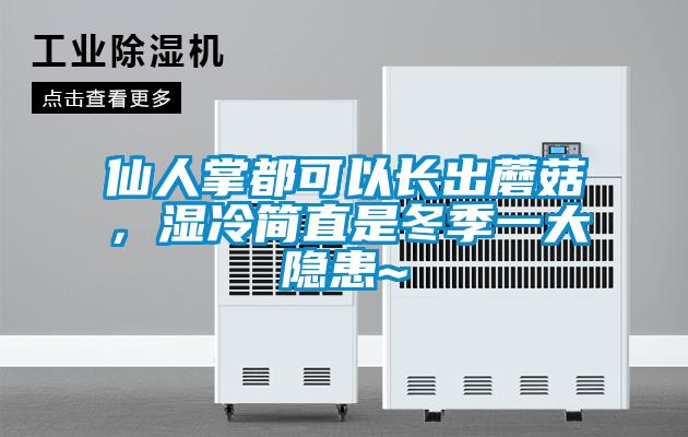 仙人掌都可以長出蘑菇，濕冷簡直是冬季一大隱患~