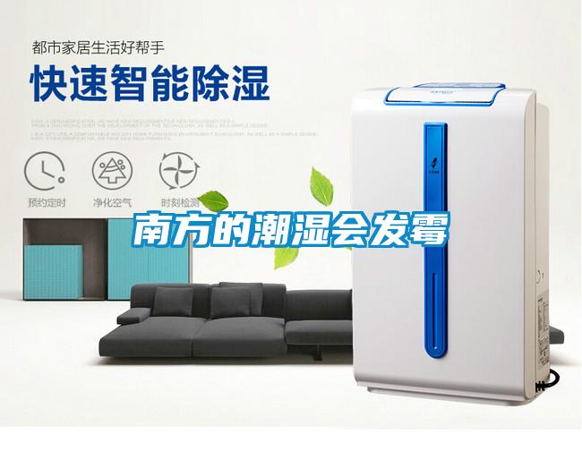 南方的潮濕會發霉