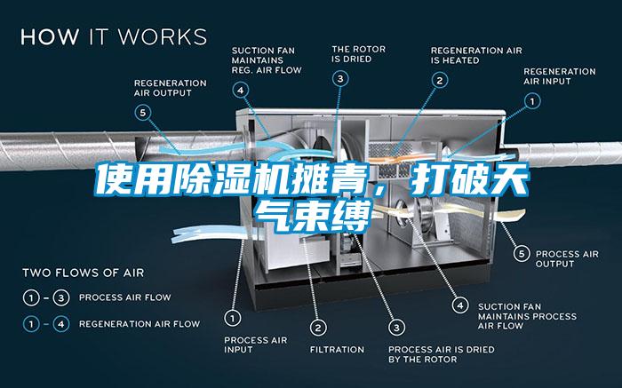 使用除濕機攤青，打破天氣束縛