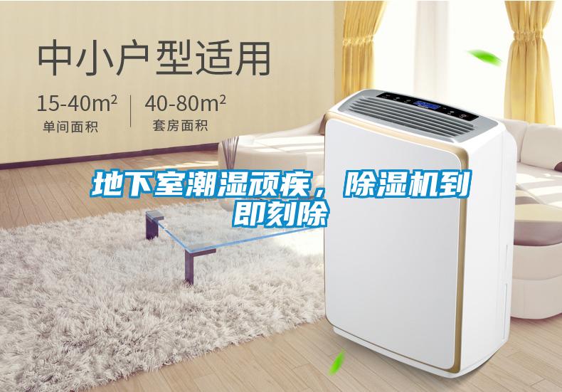 地下室潮濕頑疾，除濕機到即刻除