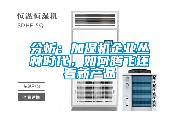 分析：加濕機企業叢林時代，如何騰飛還看新產品