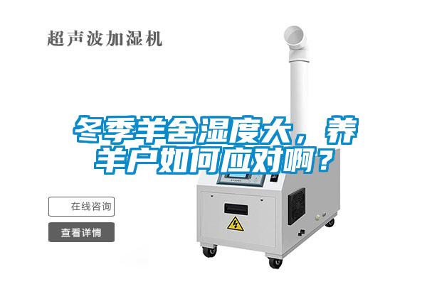 冬季羊舍濕度大，養羊戶如何應對啊？