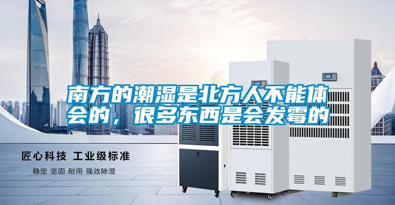 南方的潮濕是北方人不能體會的，很多東西是會發霉的