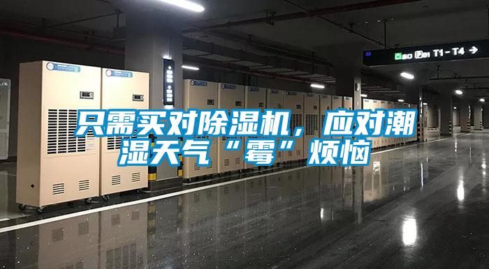 只需買對除濕機，應對潮濕天氣“霉”煩惱