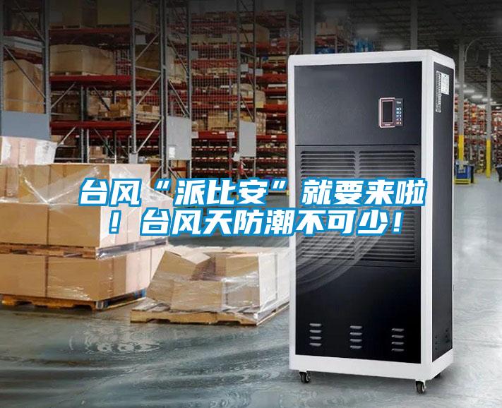 臺風“派比安”就要來啦！臺風天防潮不可少！