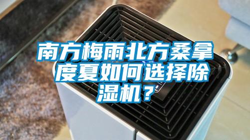 南方梅雨北方桑拿 度夏如何選擇除濕機？