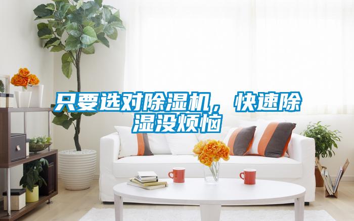 只要選對除濕機，快速除濕沒煩惱