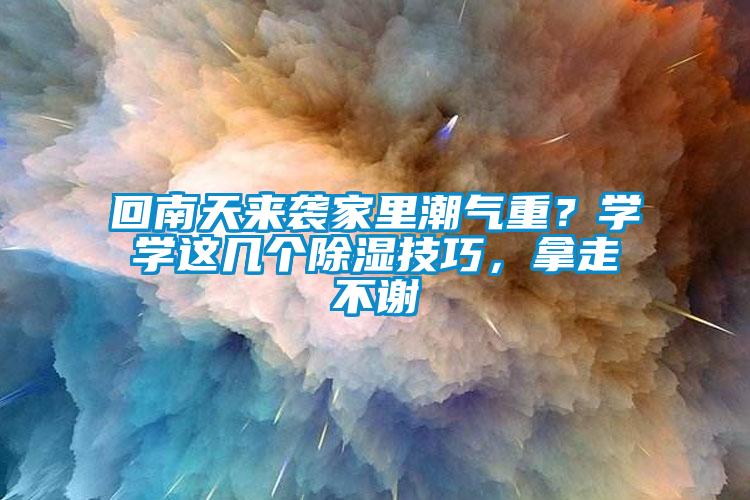 回南天來襲家里潮氣重？學學這幾個除濕技巧，拿走不謝
