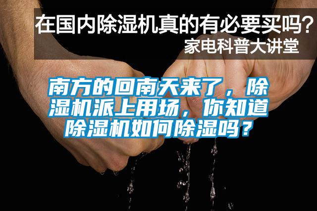 南方的回南天來了，除濕機派上用場，你知道除濕機如何除濕嗎？