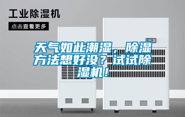 天氣如此潮濕，除濕方法想好沒？試試除濕機！