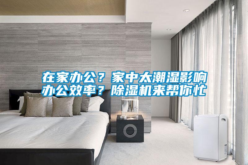 在家辦公？家中太潮濕影響辦公效率？除濕機來幫你忙