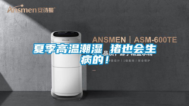 夏季高溫潮濕 豬也會生病的！