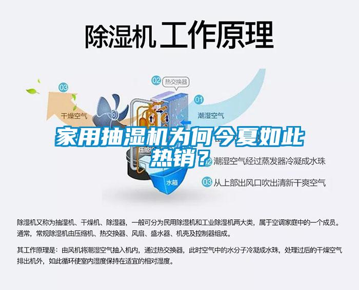 家用抽濕機為何今夏如此熱銷？