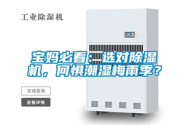 寶媽必看：選對除濕機，何懼潮濕梅雨季？