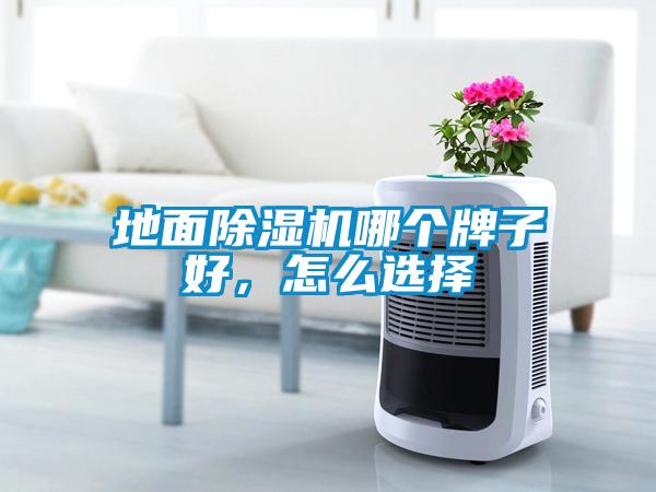地面除濕機哪個牌子好，怎么選擇