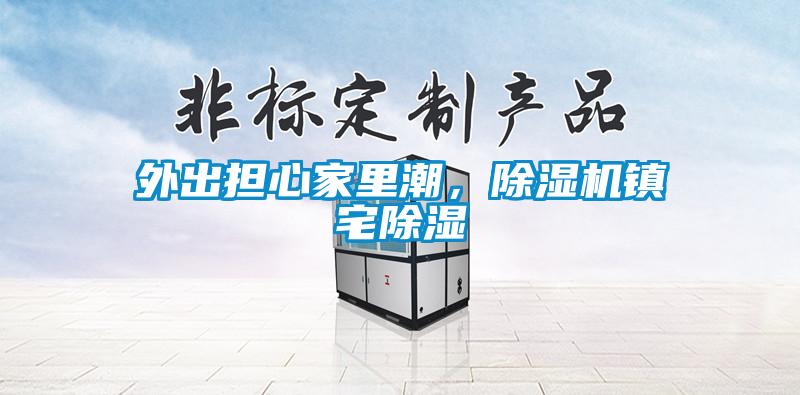 外出擔心家里潮，除濕機鎮宅除濕