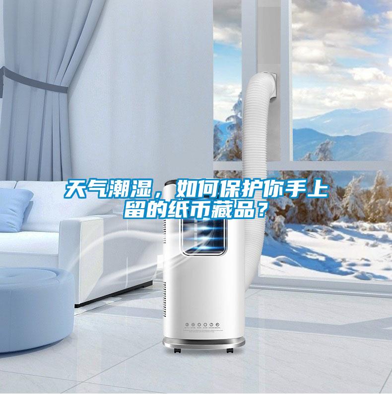天氣潮濕，如何保護你手上留的紙幣藏品？