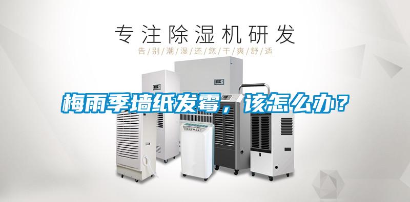 梅雨季墻紙發霉，該怎么辦？