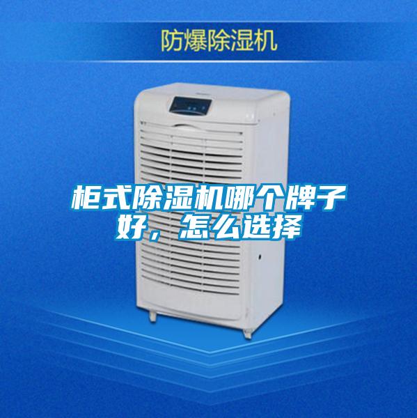柜式除濕機哪個牌子好，怎么選擇