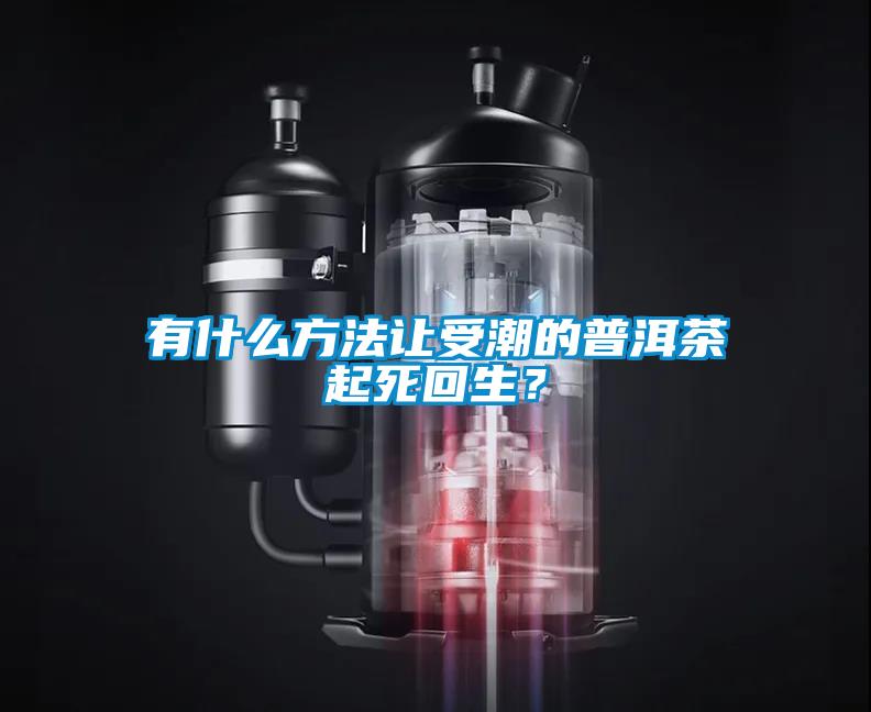 有什么方法讓受潮的普洱茶起死回生？