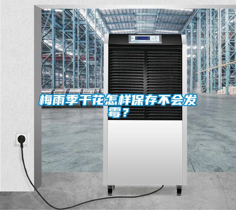 梅雨季干花怎樣保存不會發霉？