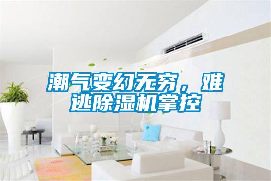 潮氣變幻無窮，難逃除濕機掌控
