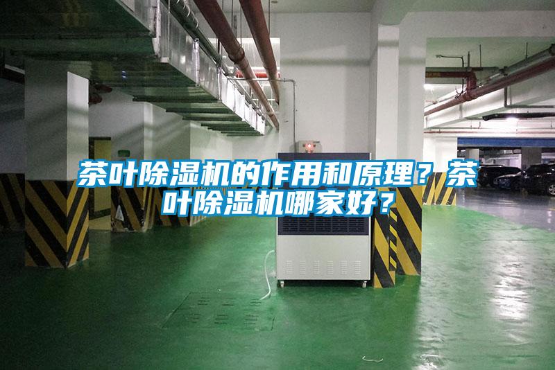 茶葉除濕機的作用和原理？茶葉除濕機哪家好？