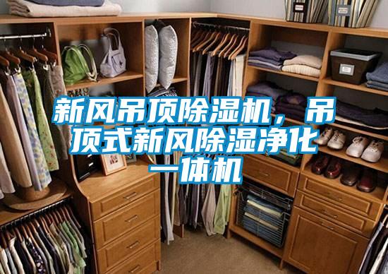 新風吊頂除濕機，吊頂式新風除濕凈化一體機