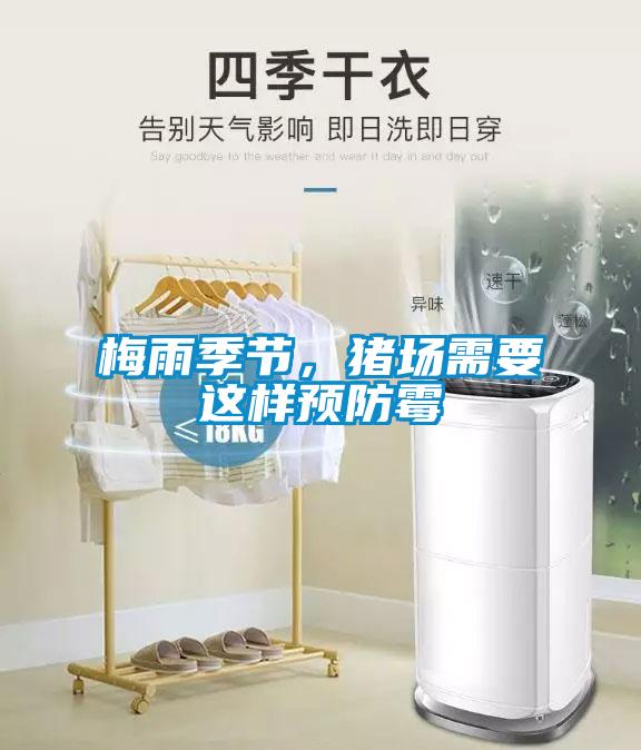梅雨季節，豬場需要這樣預防霉