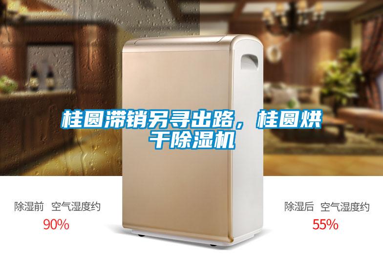 桂圓滯銷另尋出路，桂圓烘干除濕機
