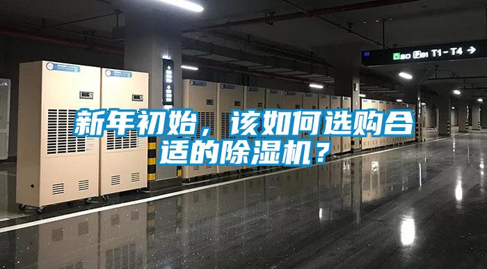 新年初始，該如何選購合適的除濕機？