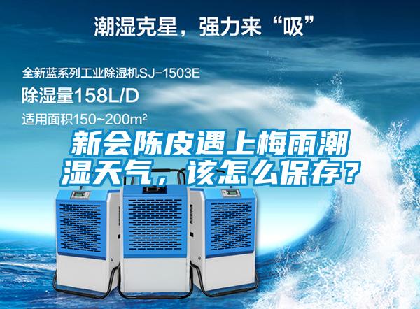 新會陳皮遇上梅雨潮濕天氣，該怎么保存？