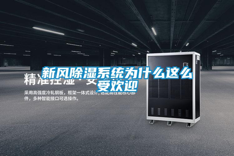 新風除濕系統為什么這么受歡迎