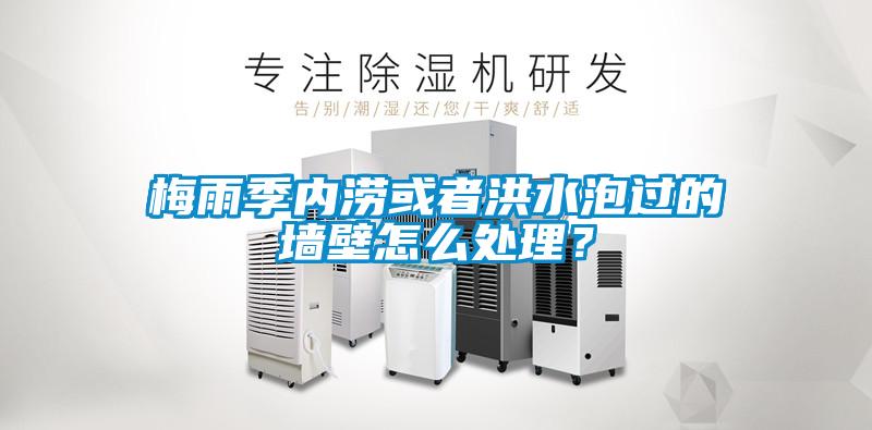 梅雨季內澇或者洪水泡過的墻壁怎么處理？