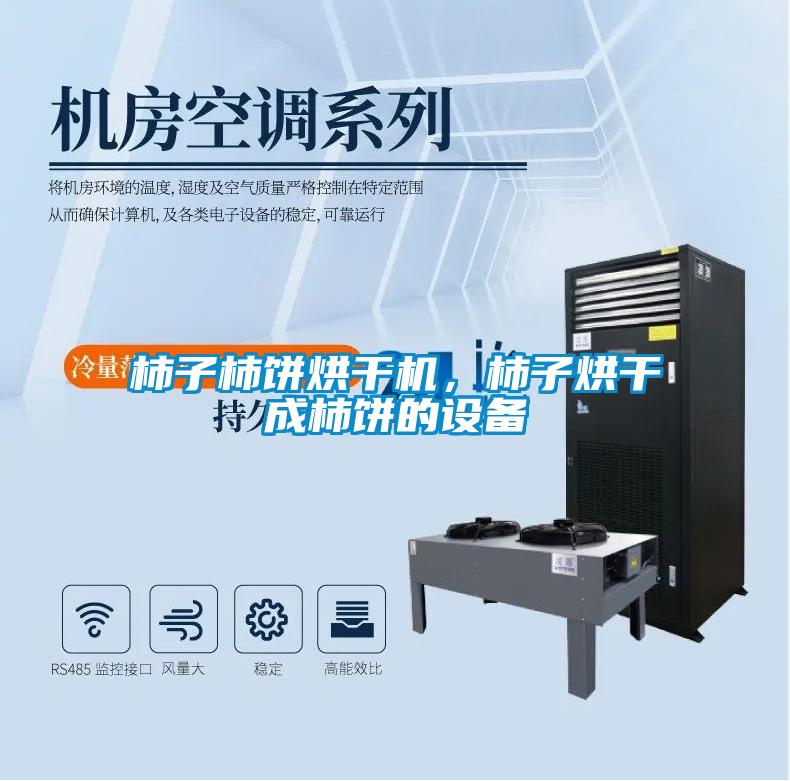 柿子柿餅烘干機，柿子烘干成柿餅的設備