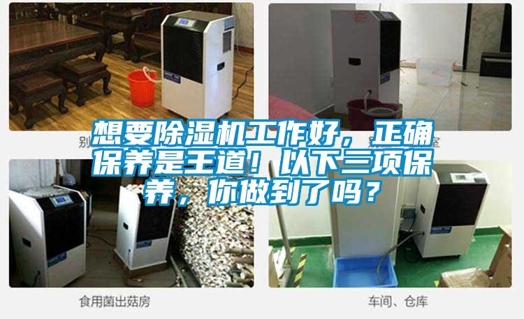 想要除濕機工作好，正確保養是王道！以下三項保養，你做到了嗎？