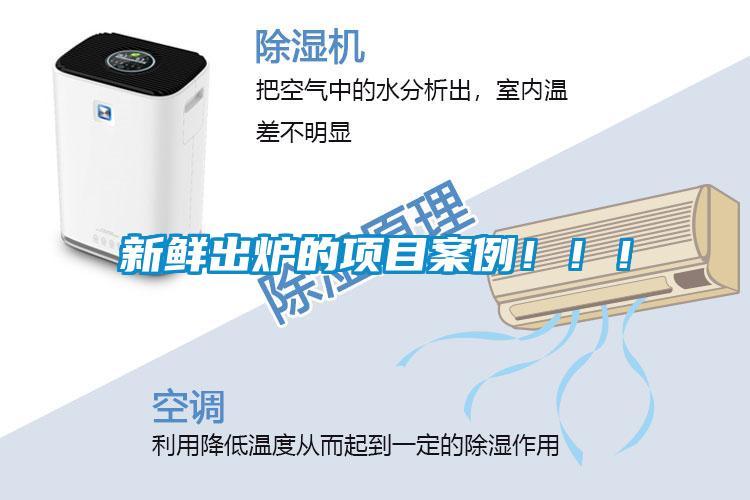 新鮮出爐的項目案例?。?！