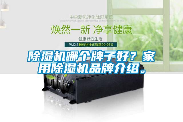 除濕機哪個牌子好？家用除濕機品牌介紹。