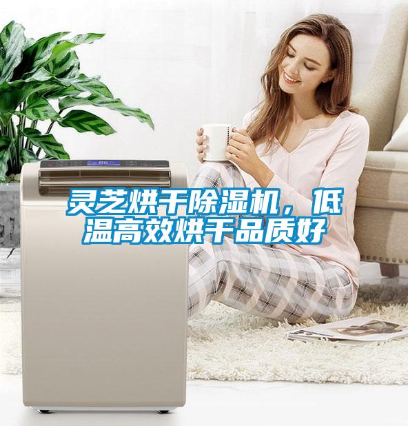 靈芝烘干除濕機，低溫高效烘干品質好