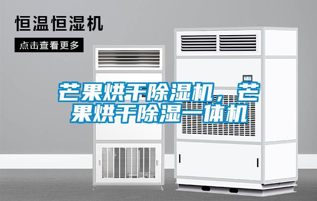 芒果烘干除濕機，芒果烘干除濕一體機