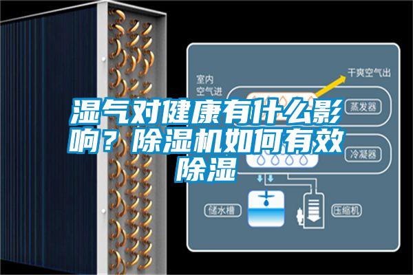 濕氣對健康有什么影響？除濕機如何有效除濕