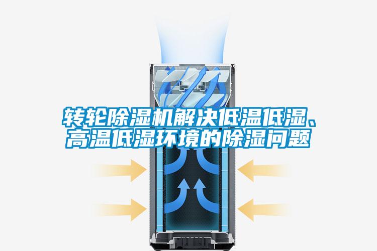 轉輪除濕機解決低溫低濕、高溫低濕環境的除濕問題