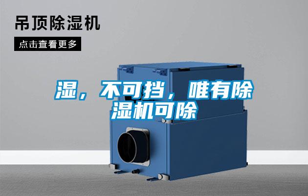 濕，不可擋，唯有除濕機可除