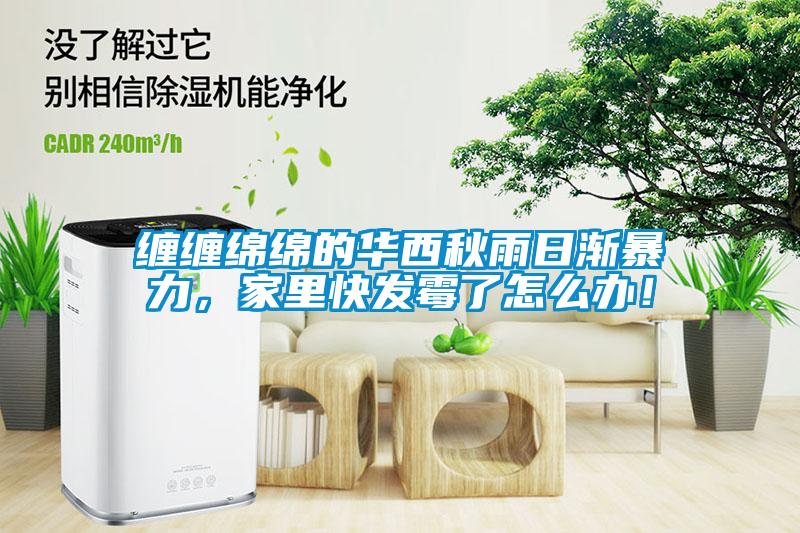 纏纏綿綿的華西秋雨日漸暴力，家里快發霉了怎么辦！