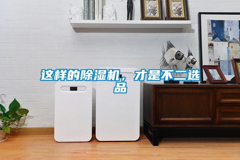 這樣的除濕機，才是不二選品