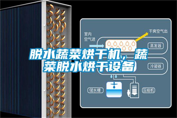 脫水蔬菜烘干機，蔬菜脫水烘干設備